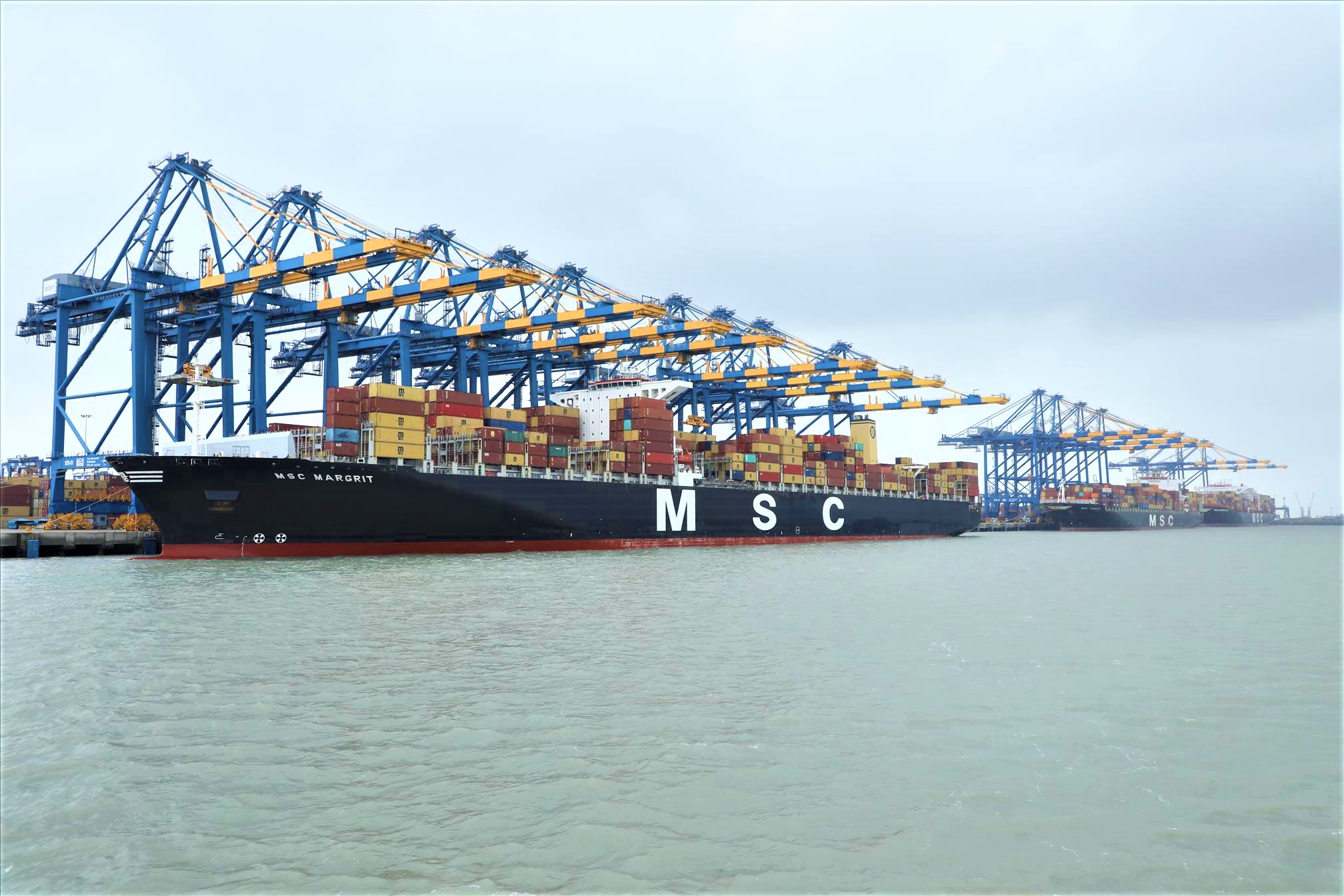 Adani Ports Mundra Breaks Records, Handles 43 Vessels in 24 Hours