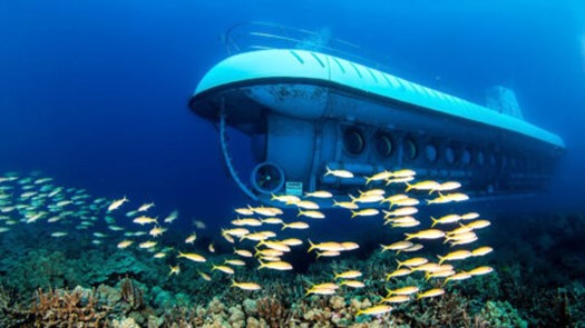 Yet another first for Gujarat: Submarine tourism