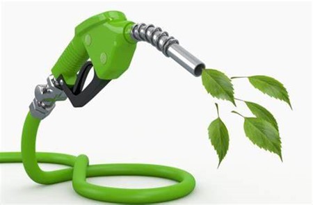Biofuel to make up 6% of road transport by 2030