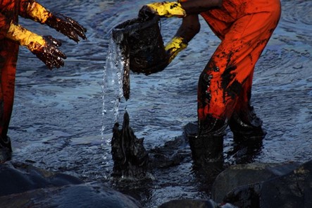 Extent of oil spill caused by IOC refinery in Chennai