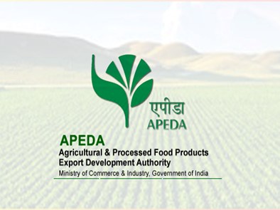 APEDA readies big plan for organic exports from Uttarakhand