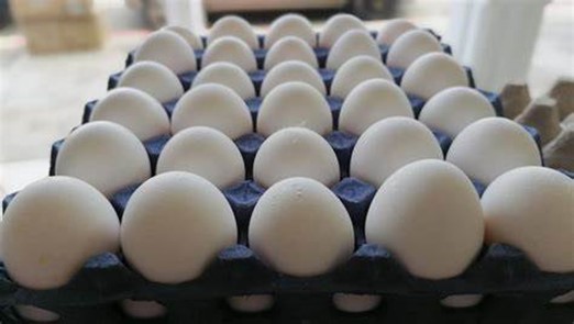Tamil Nadu May Step In to export eggs to Russia to meet its shortage