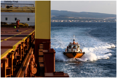 Turkish Ship Pilot Dies in Boarding Accident