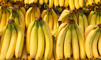 Russia’s banana import from India may increase as Ecuador ties crumble