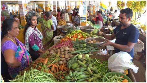 Vegetable prices hit six-month low in Sri Lanka