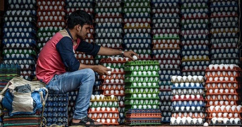 Handling the Hatch: The Complex Egg Supply Chain In India