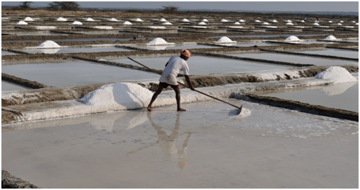 Salt Industry Crisis in Pakistan