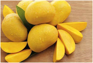 MSAMB aims to export 5,000 tonnes of mangoes to US & Europe