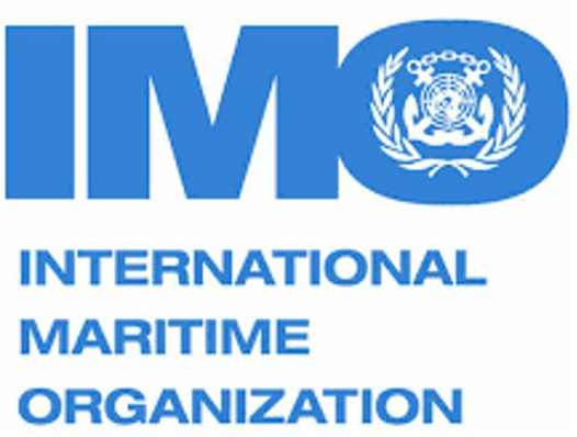 Shipping industry on track to cut emissions: IMO chief
