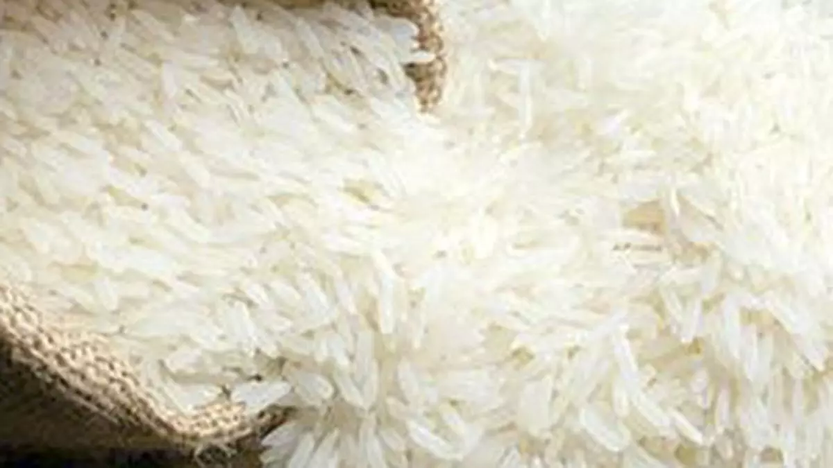 India allowed the export of non-basmati white rice to Mauritius through National Cooperative Exports on request
