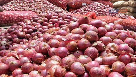 Maharashtra onion prices plunge on oversupply