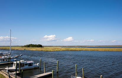 Florida regulators propose reopening commercial oyster harvesting in Apalachicola Bay