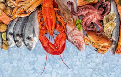 Gujarat’s Fisheries Sector Records Unprecedented Growth, Export Value Surges Nearly Tenfold