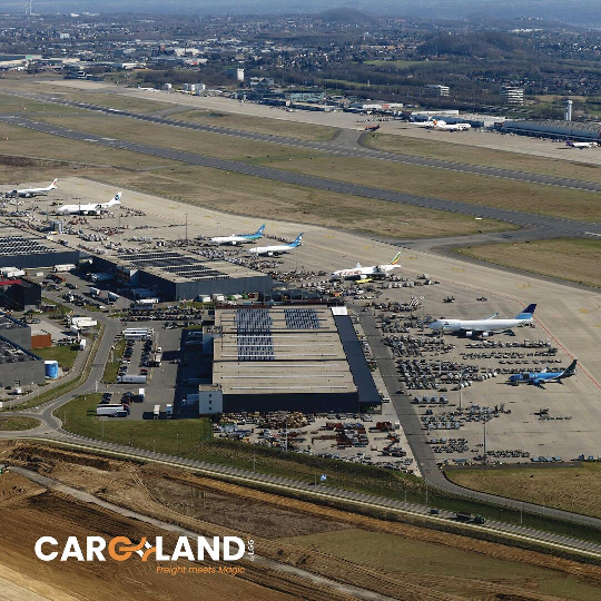 CARGOLAND by LGG records second-highest year in its history 