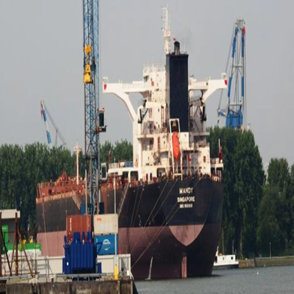 Tragedy at Sea as Engine Fire Claims Two Lives on Bulk Carrier