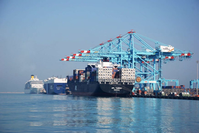Khalifa Bin Salman Port suspends operations