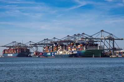 Port of Rotterdam revenue rises but profit slips in 2025