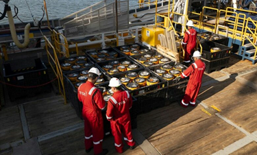 TGS secures new deepwater seismic job in Gulf of Mexico