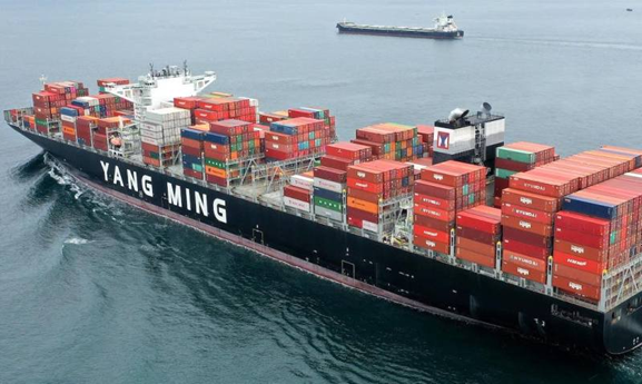 Yang Ming presses ahead with fleet renewal despite steep Q1 profit decline