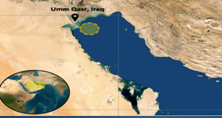 IRGC strike hits MSC Sariska V in Um-Qasr