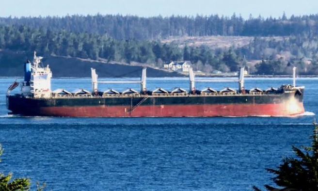 MV PROPEL FORTUNE Berths at Deendayal Port with Coal Cargo for UltraTech Cement