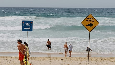 Shark attack kills man off Western Australia coast