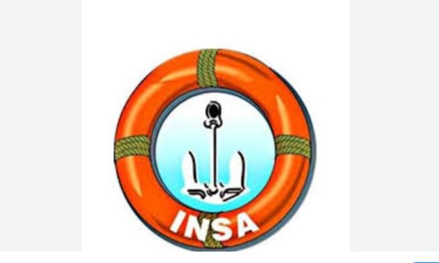Mandatory Indian P&I Cover Could Hurt Domestic Shipowners, Warns INSA