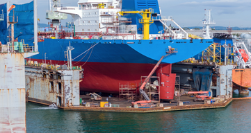 Keeping your yard shipshape – An insurer’s perspective
