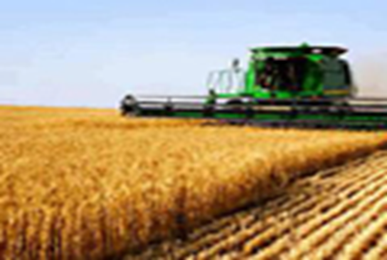 ASIA WHEAT ROUNDUP: Australian prices fall in June; buyers await new crop from Canada, Black Sea