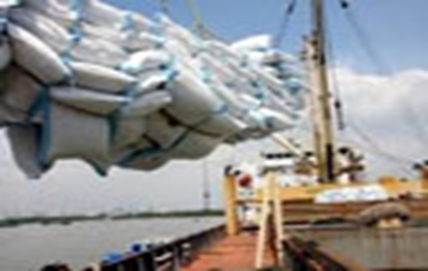 Indian exporters expect domestic rice supply to improve under revised OMSS policy