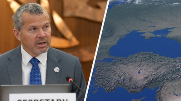 IMO condemns attacks on merchant vessels in the Sea of Azov and the Black Sea
