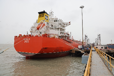 Adani Ports Mundra Handles India’s Largest-Ever Single Parcel of Soybean Oil