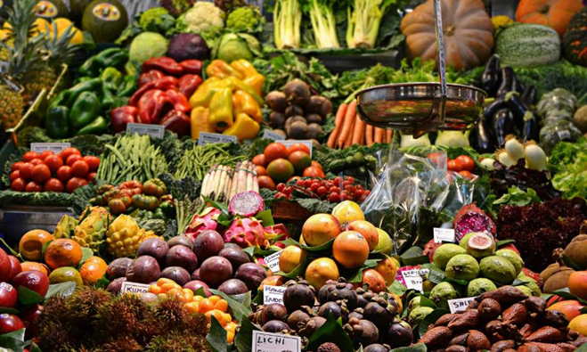 Kerala Eyes Global Agri Market Through Value Addition, Export-Oriented Startups: Minister Siddique