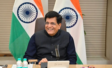 India-US Trade Pact to Come Into Operation Once India Gets Comparative Advantage: Goyal