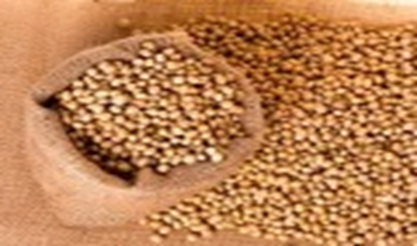 Soybeans drop on forecasts for beneficial Midwest rains in August