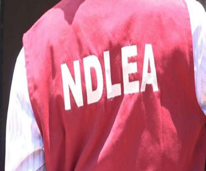Lekki Port, NDLEA Strengthen Alliance against Drug Trafficking