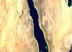 India condemns sinking of cargo vessel in Red Sea