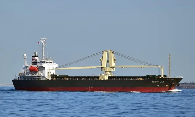 Iran-Oman Strait of Hormuz Deal Faces Sanctions, Insurance Hurdles