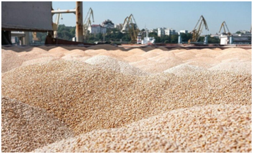 Black Sea grain trade buckles under maritime war