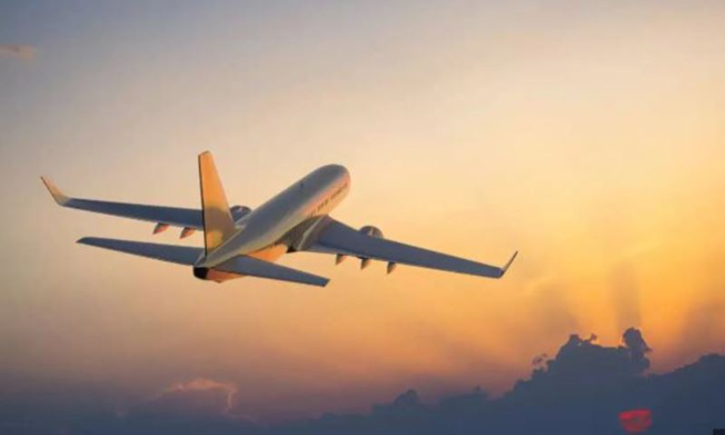 Delhi Airport Expands Air Cargo Network to London and Copenhagen