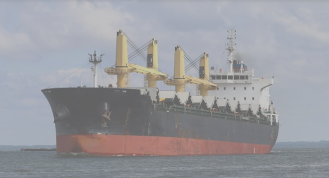 Search Continues For 22 After Bulk Carrier Sinks Off India 