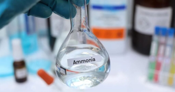 East of Suez Ammonia Prices Collapse More Than 40 Percent since April as Indian Demand Weakens