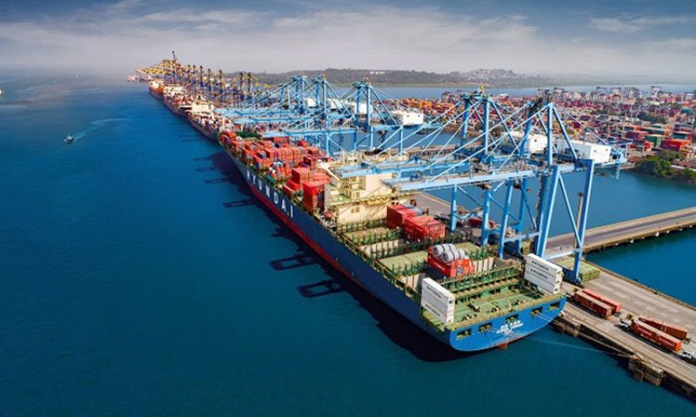 India Port Volumes Up 7% in August, Freight Rates Surge 132%
