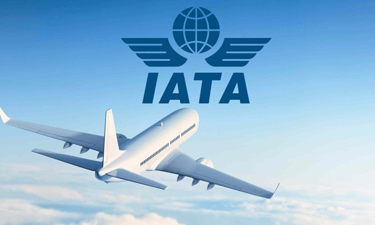 IATA Rejects Mandatory Flight Shift to Navi Mumbai Airport