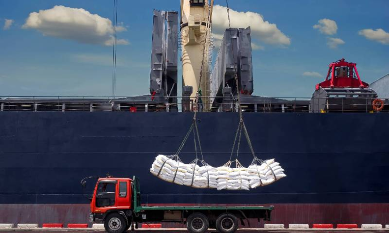 Indian Rice Exporters Cut Basmati Freight Costs by 74% in Bulk Shipments to Iraq