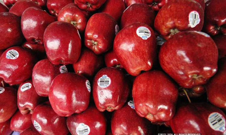 Turkish Apple Exports to India Rise as Rival Suppliers Struggle