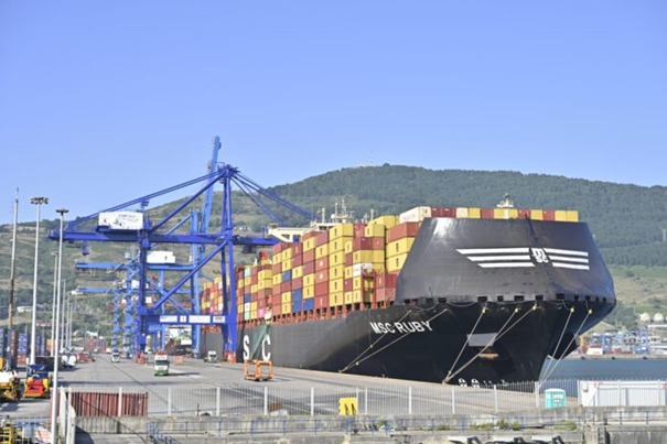 MSC introduces emergency surcharge on East Mediterranean–North Europe trade